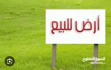  1 الفحيص حوض القعرتين