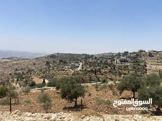  1 دونم سكن أ للبيع في بطنا حوض المزود
