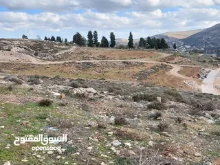  2 نمرة ارض للبيع في اجمل منطقة في نابلس عصيرة الشمالية ذات اطلالة رائعة على مدينة نابلس
