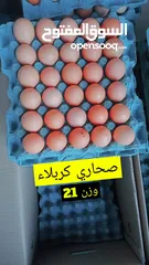  3 بيض عراقي طازج