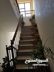  6 شقة ط3 في ضاحية الرشيد 191م مع روف