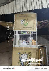  1 بسط الذره للبيع جاهزه من جميعه بس ما عليك غير تحكي يا الله شو بدك تشتغل عليها جاهزه