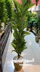  1 Artificial Plants Available For Sale