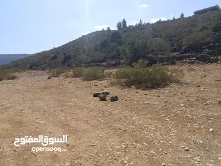  3 ارض مميزة للبيع