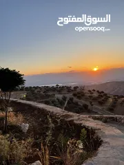  2 مزرعة في مغاريب السلط من المالك مباشرة