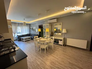  1 شقة مفروشة فاخرة سوبر ديلوكس اعلان رقم (D54)