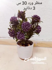  6 فازات مناظر مراي