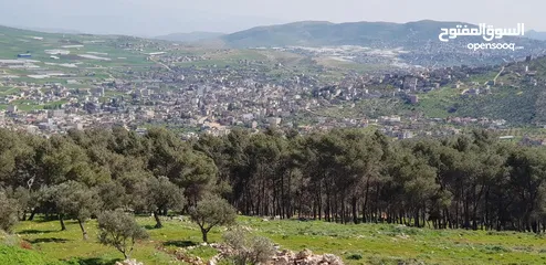  7 فيلا فاخرة على أرض 2000م تصنيف أ A, طابو – زاوية شارعين + مجلس ضيوف مستقل في طوباس