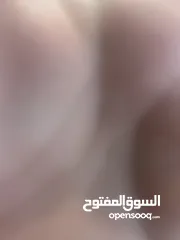  3 رانجلر صحارى 2012