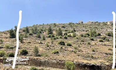  1 يوجد ارض في حسكا تصنيف (الف) المساحة دونم على الشارع