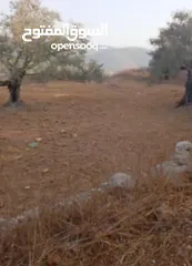  1 قطعة لرض للبيع