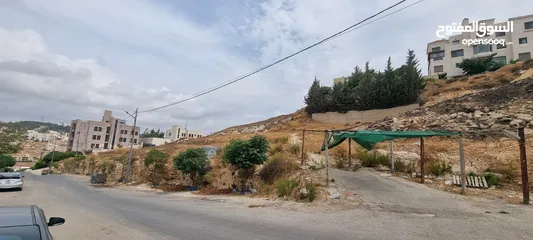  2 ارض للبيع - ناعور حي الكبرا - 750 م