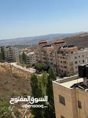 7 شقة مفروشة / الماصيون