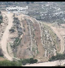  4 قطعة نمرة للبيع دورا 560 متر