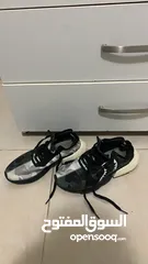  3 شوز. adidas