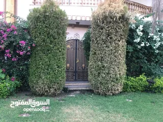  1 قصر راقي جدا جدا للبيع بمدينة الشروق امام فيلات القوات المسلحة وخلف فيلا رئيس الوزراء