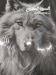  3 ملصقات لباب السيارات