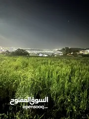  23 أم الدنانير قرب مستشفى الأمير حسين