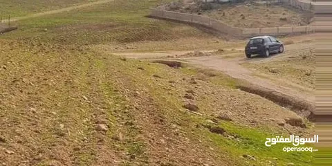  3 جريبا قرب شفابدران تقسيط نصف الثمن