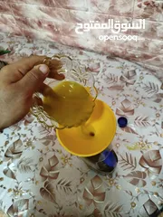  3 زيت زيتون جديد 2025، زيتون ترمسعيا