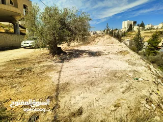  3 أرض للبيع ، بيت ساحور طابو تصنيف أ