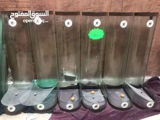  5 ديكور محمص بحاله الوكاله