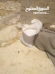  7 زبل غنم سماد للحدائق والاشجار نصف دينار