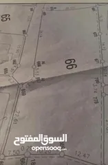  2 أرض في أبو كتيلا للبيع