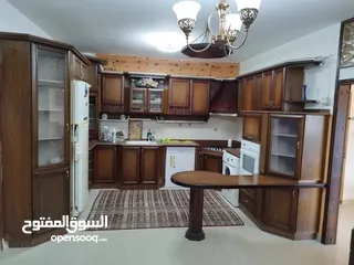  1 شقه مفروشه في عين منجد