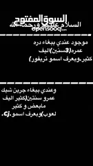  1 ببغاء جرين شيك.ببغاء دره.اقرا الوصف)