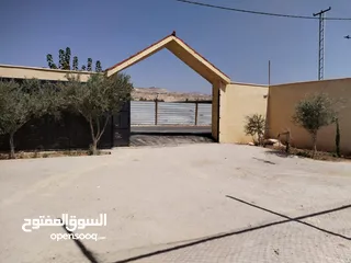  4 مزرعة الطيب