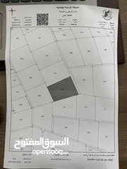  4 10 دونمات و 150 متر للبيع و بسعر مغري جدا كوشان مستقل