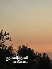  4 بيت عظم يقع ع قطعه ارض مساحه 640 متر كوشان طابو سكن الف داخل المخطط الهيكلي اطلاله غربيه