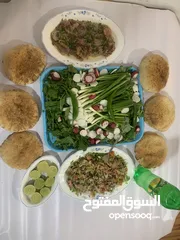  5 فسيح ورنجة مصري