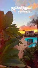  31 شاليهات بتالابيه وايلا  وفلل داخل وخارج تالابيه متوفر بأحجام مختلفه من غرفه ولغايه 4 غرف وفلل 7 غرف