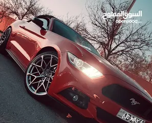  9 فقط من مكتب Lion Group فورد موستينج كشف للإيجار 2018 Ecoboost السياره رياضية فارهة تستحق التجربة