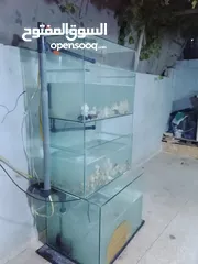  2 حوض سمك مع كامل معدادو