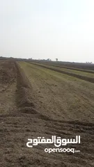  7 ارض زراعية للبيع ( سعر مناسب ) في الحلة بابل منطقة المحاويل جة الخط السريع الدولي