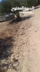  4 قطعة ارض للبيع الخليل حلحول ارنبه 345 متر