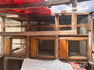  3 Big Hand Made cage for birds