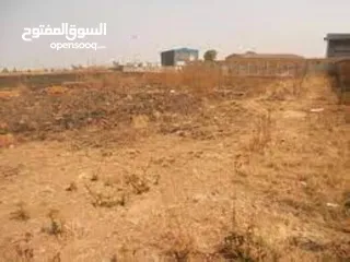  6 للبيع أرض تجارية مميزة في منطقة الصفوح 1 For Sale Prime Freehold Commercial Land in Al Sufouh Area 1