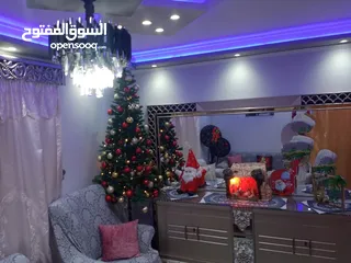  11 شقه سيدي بشر قبلي ثاني نمرة من شارع حسن رفعت