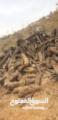 13 بيع و شراء كافة انواع الحطب والمزارع
