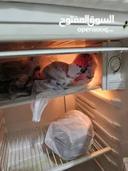  3 Sharp refrigerator and also freezer