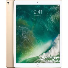  1 iPad Pro gen 2 2017 512G Gold