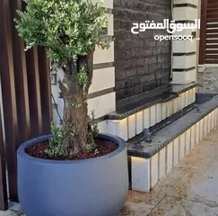  20 تفصيل قواوير فايبر جلاس بشكل عصري أنيق  زراعة وتسميد النباتات الداخلية والخارجية بإشراف مهندسين