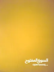  2 بيت للاجار نابلس العامريه