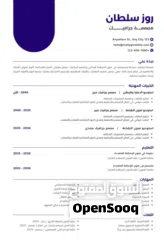  13 يوجد تصاميم إنشاء سيرة ذاتيه احترافيه فقط للعملاء الجدد
