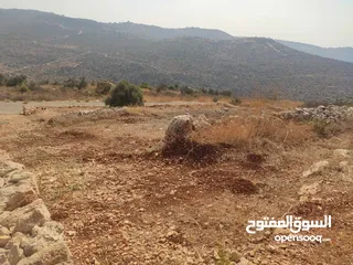  2 قطعة أرض للبيع في مزارع النوباني تصنيف أ