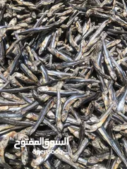  1 DRIED ANCHOVY OF IRAN( BARIYA Fish/ Jashea Fish)